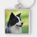 Search for border black and white key rings Pet