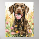 Search for gsp art German shorthaired pointer