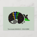 Search for armadillo postcards Wildlife