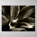 Search for forms art Nature