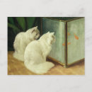 Search for stern Arthur