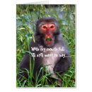 Search for funny monkey Cute
