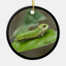 Search for worm christmas tree decorations Caterpillar