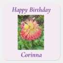 Search for pink dahlia stickers Botanical