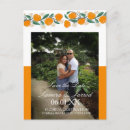 Search for oranges postcards Fruit