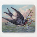 Search for swallow mouse mats Animal