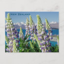 Search for new zealand landscape postcards South island