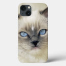 Search for front view cases Cute