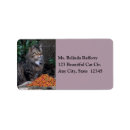 Search for maine coon return address labels Pets