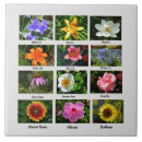 Search for macro tiles Flowers