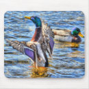 Search for drake electronics Wildlife