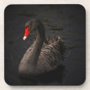 Search for beak barware Bird