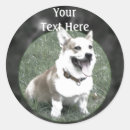 Search for pembroke welsh corgi stickers Animals