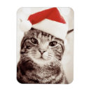 Search for tabby cards magnets Humour