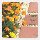 Search for marigold flowers stickers Marigolds