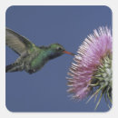 Search for pollen stickers Blossom
