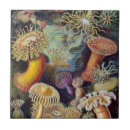 Search for anemone tiles Vintage