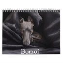 Search for pet borzoi Canine