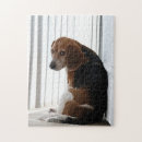Search for beagle puzzles Dogs