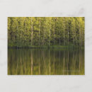 Search for water reflection postcards Rural
