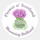 Search for scottish thistle stickers Hogmanay