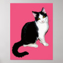 Search for pink cat art Black and white cat