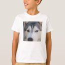 Search for alaskan malamute clothing Siberian husky
