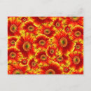 Search for bursting postcards Yellow