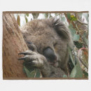 Search for koala bear blankets Australia