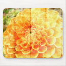 Search for dali electronics Flower
