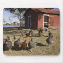 Search for coop mouse mats Poultry