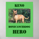 Search for bones art Canine