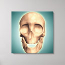 Search for frontal view Mandible