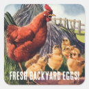Search for free range stickers Farm fresh