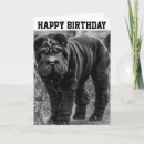Search for shar pei dog birthday cards Funny