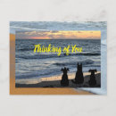 Search for animal silhouettes postcards Nature