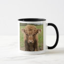 Search for highland cattle mugs Animal