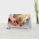 Search for stray cards Cats