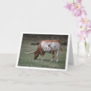 Search for cow mothers day cards Animal