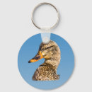 Search for quack key rings Birds