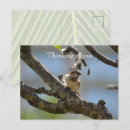 Search for bird tree postcards Nature