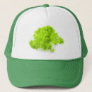 Search for lettuce hats Salad
