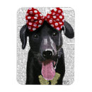 Search for bows magnets Red bow