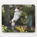 Search for manipulation mouse mats Photography