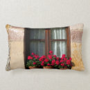 Search for danita delimont cushions Building