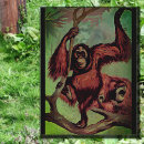 Search for orangutans postcards Primates
