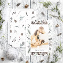 Search for pinecone cards Simple