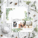 Search for fir christmas cards Modern