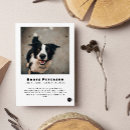 Search for announcing death of dog Pet loss