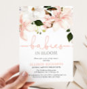 Search for elegant twin baby shower invitations Babies in bloom